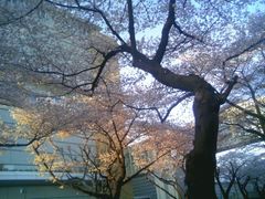 フォト id:photo_343869282