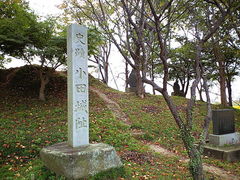 フォト id:photo_343906538