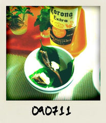 フォト id:photo_343909846